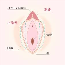 婦人科形成 | 大阪心斎橋の美容外科・美容皮膚科はMIL CLINIC OSAKA