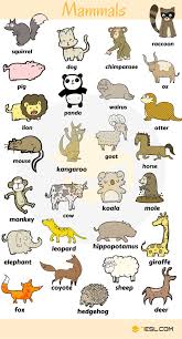 Animal Names Types Of Animals With List Pictures 7 E S L Animals Name In English English Vocabulary Learn English Vocabulary