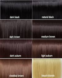 Hair Color Shades Of Black Hair Chart Colour Different