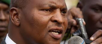 Touadera 'has what the CAR needs'