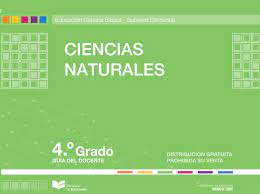 El administrador del blog libros favorito 2019 también recopila otras imágenes relacionadas con los examen de 6 grado 2019 contestado a continuación. Ciencias Naturales Guia 4 By Christian Issuu