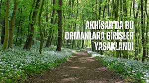 Akhisarda bu ormanlara girişler yasaklandı - Genel - Akhisar Haber