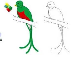 How Draw Quetzal Pictures 5th Grade Art Mural Drawings Draw a simple round circle. draw quetzal pictures 5th grade art