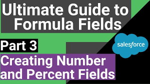 Salesforce Creating Number And Percent Ultimate Guide To Formula Fields 3 Youtube