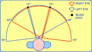 diy horizontal field testing for dot physical cdl medical