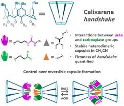 Supramolecular Handshakes: Characterization of Urea‐Carboxylate  Interactions Within Calixarene Frameworks - Cvetnić - 2024 - ChemPlusChem -  Wiley Online Library