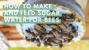 Leaving sugar water out regularly will. Sugar Water For Bees Preparation And Feeding Guide