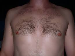 Image*After : images : nature characters humanparts bk1 bodykit male  texture chest chesthair nipple nipples front hair hairy man