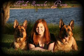 German shepherd puppies for sale in southern california. German Shepherd Puppies For Sale In Southern California Breeder