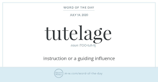 Word Of The Day Tutelage In 2020 Good Vocabulary Words Uncommon Words Words