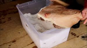 Pour certains, il ne s'agirait pas moins. Salage Jambon Suite Youtube