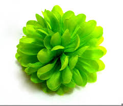 You're welcome to embed this image in your website/blog! Lime Green Flower Png Free Lime Green Flower Png Transparent Images 80481 Pngio