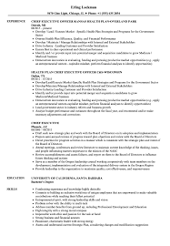 See professional examples for any position or industry. Chief Executive Resume Samples Velvet Jobs