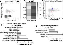 Dubna 2020 došlo ke zvýšení cca 13%. Transcriptomic Sex Differences In Sensory Neuronal Populations Of Mice Scientific Reports