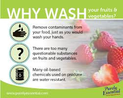 My lion is crazy about fruits. Why Should I Wash My Fruits And Vegetables Purely Essential