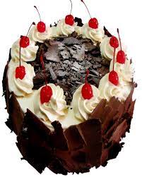 Alamat toko holland bakery jakarta. Opera Cake Holland Bakery Wiki Cakes