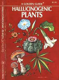 A Little Golden Book Of Psychedelics Books Art Psychedelic