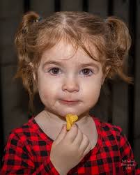 German shepherd's cute face