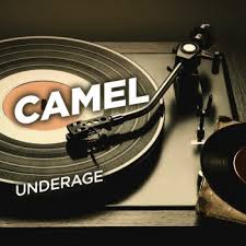 Camel the flight of the snow goose: The Snow Goose By Camel Album Lyrics Musixmatch