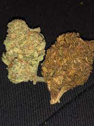 Contact texas vs cali trucks on messenger. California Vs Texas Weed Trees