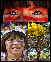 Aprendelta Educación Ambiental AMOR POR EL AIRE El Clavel del aire o  Tillandsia aëranthos, también se lo llama flor del aire azul, flor del  aire, clavel azul del aire (español); cravo do
