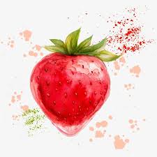 Vector Watercolor Strawberries Strawberry Clipart Fruit Drawing Fruit Png Transparent Clipart Image And Psd File For Free Download Strawberry Watercolor Strawberry Fruit Art
