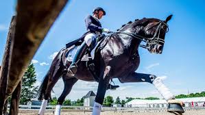 Get away from the city and enjoy the natural landscape of nevada while horseback riding. Top Spots For Horseback Riding In Las Vegas Cbs Las Vegas
