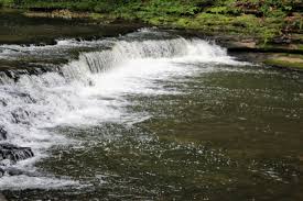 We did not find results for: David Crockett State Park A Tennessee State Park Located Near Lawrenceburg Columbia