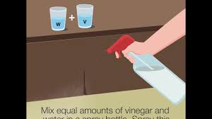 Make your kitchen inhospitable to ants by coating previous ant entry points with homemade ant repellents such as two tablespoons of peppermint oil and a quart of water, equal parts apple cider. 8 Easy Ways To Get Rid Of Ants In The Kitchen Youtube