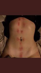 فحل بحريني عاشق لركوب الخيل العربيه البحرين (@l_like_u789)  Posts  X