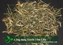 Dân chuyên văn gặp trường hợp bình thường sẽ viết bài bất thường cỡ nào? Xuyen Tam Lien Thanh Pháº§n Cong Dá»¥ng Va LÆ°u Y Khi Dung