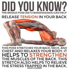 Yoga Poses And What They Achieve Yoga Postures Yoga Poses Exercise