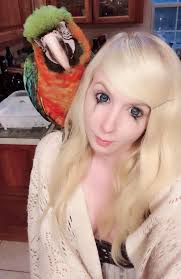 Birches teach us to be tough yet tender