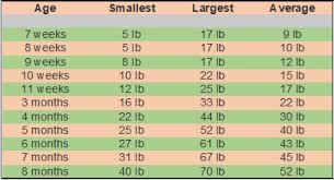 methodical age height weight chart in kgs pdf 2019