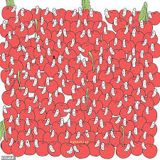 Photo puzzles von 48 bis zu 2.000 teilen. Aflbtb08 G5km
