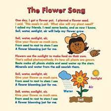 The Flower Song Mp3 Karaoke Version And Packet Your Children Will Learn The Four Things Flowers Need To Live How Flo Songs Songs About Flowers All Lyrics