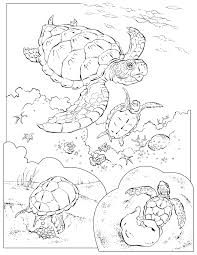 40+ sea turtle coloring pages for adults for printing and coloring. Sea Turtle Coloring Pages Turtle Coloring Pages Animal Coloring Pages Turtle Coloring Page