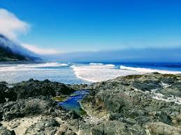 Cameras Are A Must Review Of Cape Perpetua Scenic Area