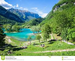 Président de la république : Tenno De Lac Entoure Par Les Alpes Italiennes Image Stock Image Du Scene Bleu 109289635