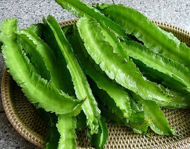 Đậu rồng (50gr) – Siêu Thị Ăn Dặm