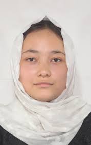 Collection of Articles