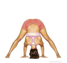 Pin On Yoga Journal Yoga Poses