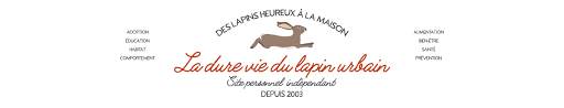 La dur vie de lapin (le lapin et le boa). La Dure Vie Du Lapin Urbain Site D Information Sur Le Lapin De Compagnie