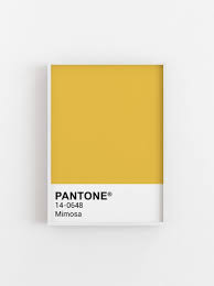 Pantone Mimosa Print Pantone Color Art Pantone Poster Minimalist Wall Art Affiche Scandinave Scand Pantone Colour Palettes Scandinavian Wall Decor Pantone