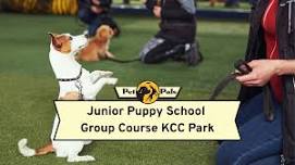 KCC Park Junior Puppy School - Thursdays 6pm