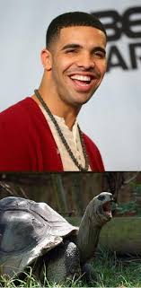 Drake looks like a turtle.