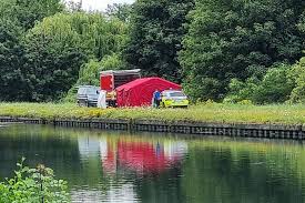 Viviana Robba Blowjob Porn Videos