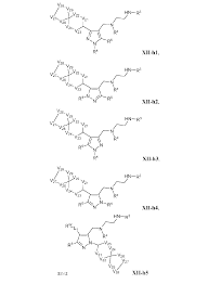 JP6581076B2 - アルギニンメチルトランスフェラーゼ阻害剤およびその使用 - Google Patents