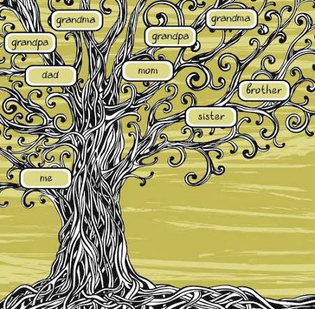 Creating a Family Tree for a Memorial | The Times
