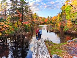 Guests can also take a scenic drive along the rocky coastline to peggy's cove. 30 Things To Do In Nova Scotia Exploring Halifax The Bay Of Fundy And More